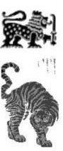 Leon de Sri Lanka, tigre chino