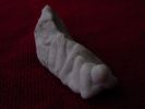 DSC00974.JPG