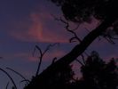 crepusculo4.jpg