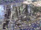 reflejos.jpg