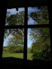ventana_al_parque-2.jpg